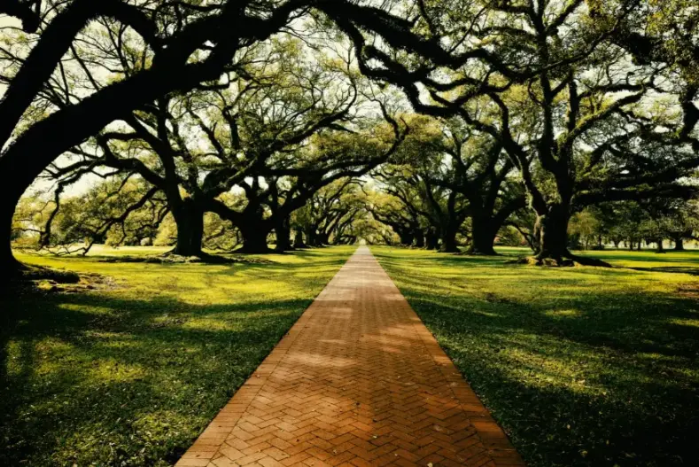 The Florida Estate Firm